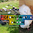 Pigeons world London