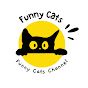 Funny Cats USA logo
