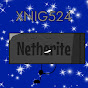 Xtraordinary Netherite Ingot Guy 524
