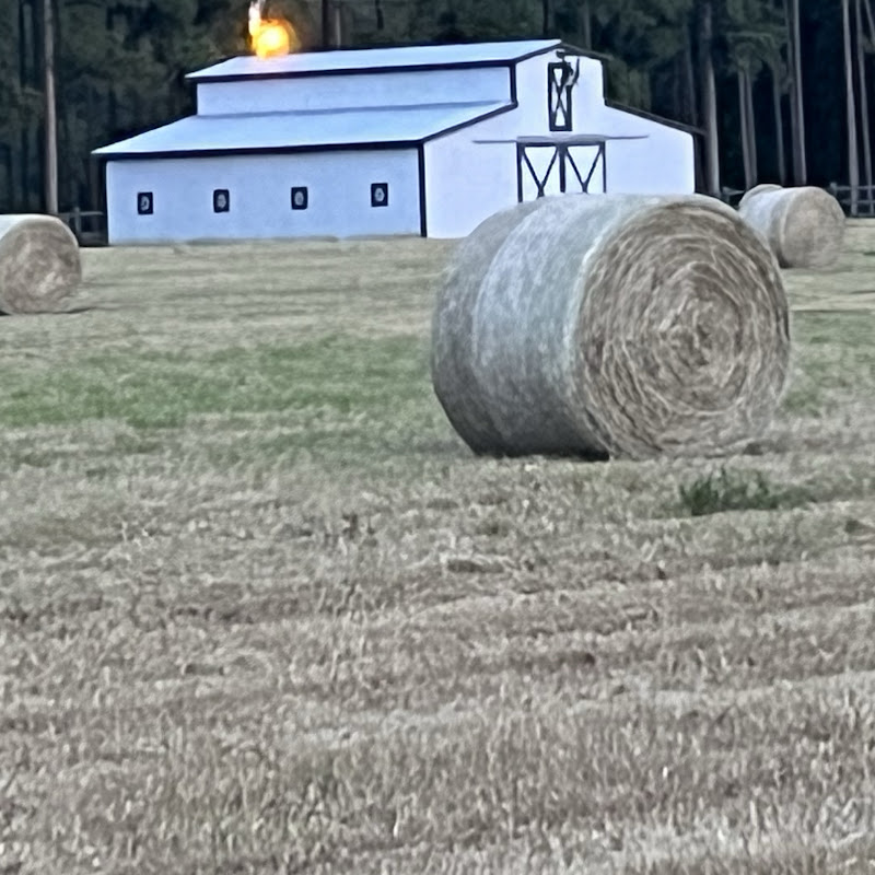 My Dream Farm