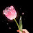 @سهيله-محمد