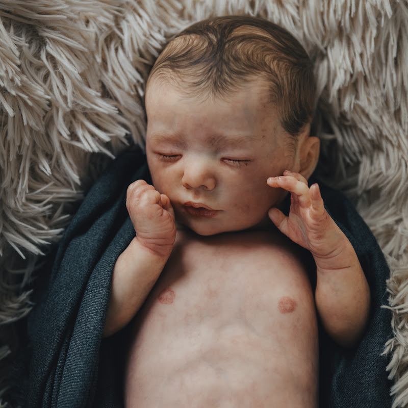 Reborn Life icon