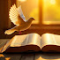 zgnXn8q-TFQ-channel-avatar-RELATOS Y MISTERIOS DE LA BIBLIA  and RELATOS DE LA MENTE