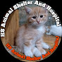 HS Animals Shelter and Hospital logo