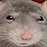 wdnodCT7hGI-channel-avatar-RyanIsDoStuff