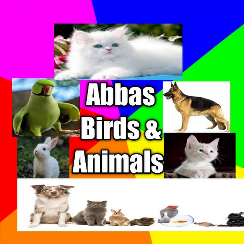 Abbas Birds and Animals