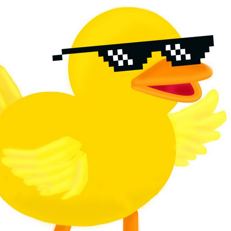 Happy Chuck Programming