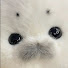 _Fo1hYMF428-channel-avatar-hallo bunny asmr