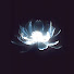 T55BKVujkBo-channel-avatar-svrvh 