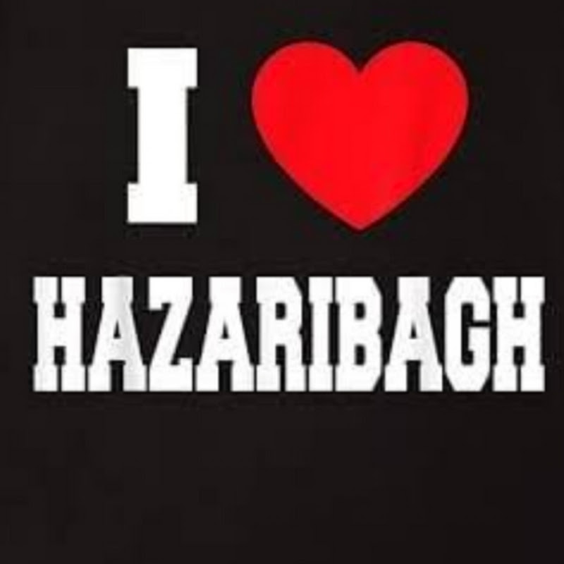Hire I love Hazaribagh — Museum & Exhibit Tours YouTube creator for sponsorships