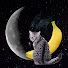 58GFNm1vtBE-channel-avatar-Jakoliath