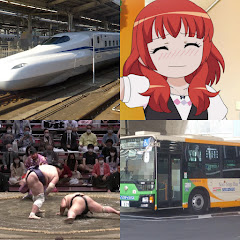 TNB TV Channel D101(旧)