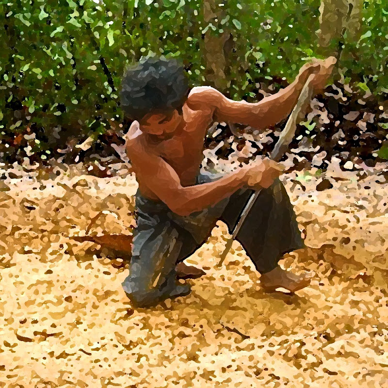 ANCIENT SURVIVAL BUILDERS