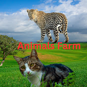 Animals Farm Scene