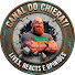 I4V43bDFZT8-channel-avatar-Canal do Chierati
