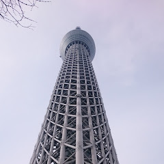ヒマジン