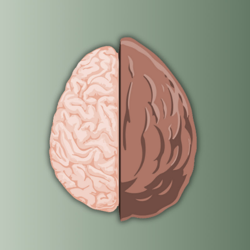 Therapy in a Nutshell Logo