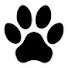 y8neWy2_oeg-channel-avatar-Paw's Dairy
