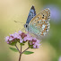 FgSecTTh-xU-channel-avatar-Sueila Jessica