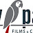 Grey parrot films