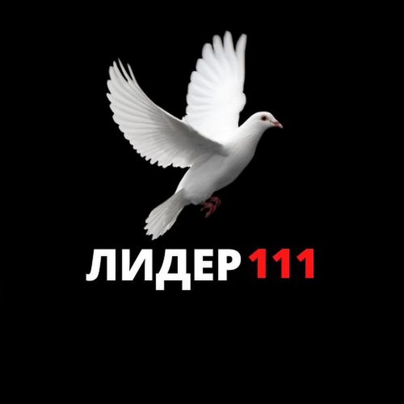 Лидер 111 Logo