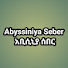1B5Lec6vWM0-channel-avatar-Abiyssinya seber -አቢሲንያ ሰበር