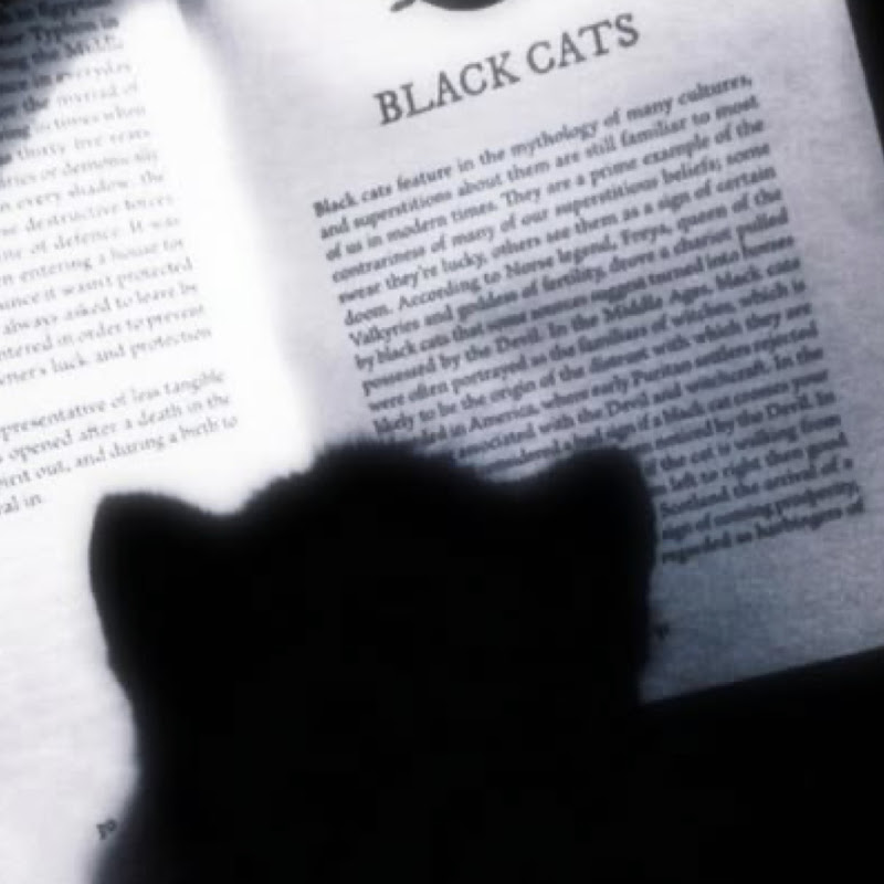 Hire carve — Gaming YouTube creator for sponsorships