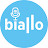 Finanzexperten im Interview - biallo