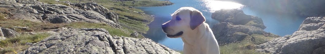 Huka: A Lab's life Avatar canale YouTube 