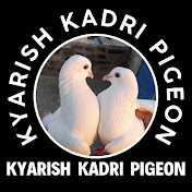 Kyarish Kadri pigeon