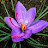 @jmwW4477 Avatar