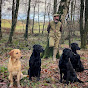 Slingley Gundogs