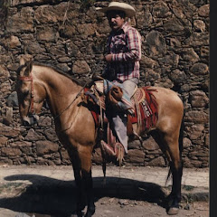 Julián Pérez Díaz