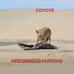 Coyote Arrowhead Hunting Avatar