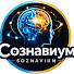 wOUIVEyQQS8-channel-avatar-Сознавиум
