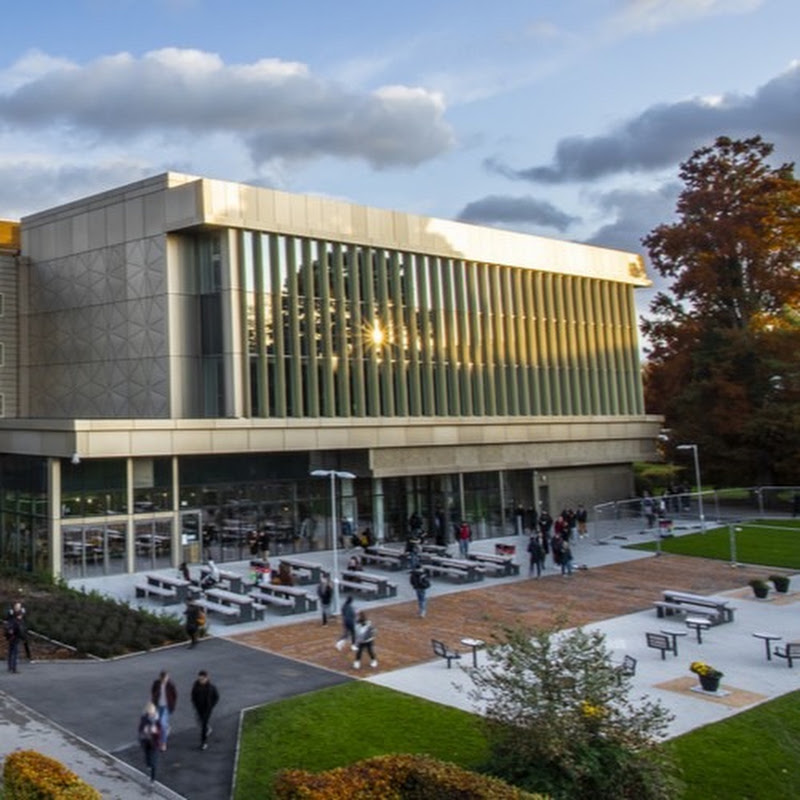 University of Reading Library