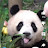 @화이트분홍