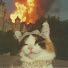 OVBhHY8t1hg-channel-avatar-SJ