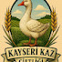 S71hkduJq4Q-channel-avatar-Kayseri kaz çiftliği 