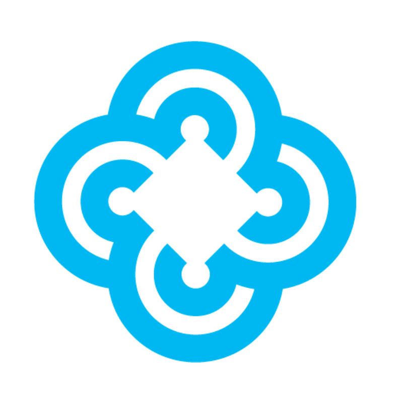 Chemonics International