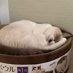 メソポタミア文明