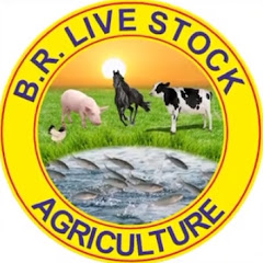 BR Live Stock and Agriculture 