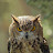 @VoxVeritas76's avatar