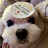 @Maltese_SOM