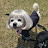 @Teddy-d3o3c