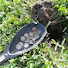 cVyPGxffH2k-channel-avatar-Metal Detecting and RV Camping Fever