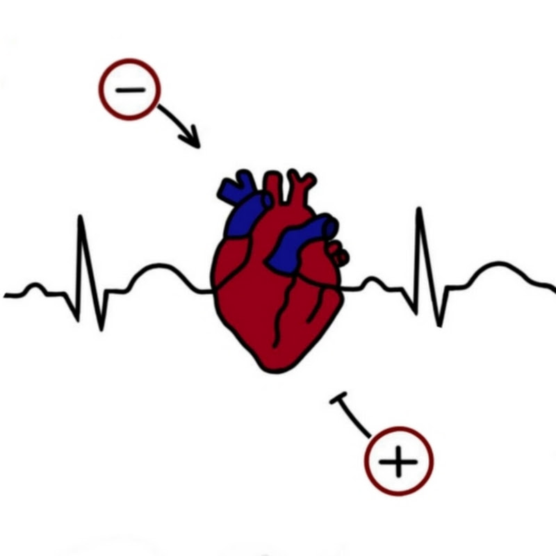 ЭКГ: от минуса к плюсу Logo