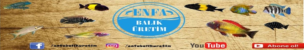Enfa BalÄ±kuretim YouTube channel avatar