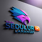 sedulur logo