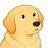 Cn6j0iEyug4-channel-avatar-寵心實驗室 Pet Heart Lab